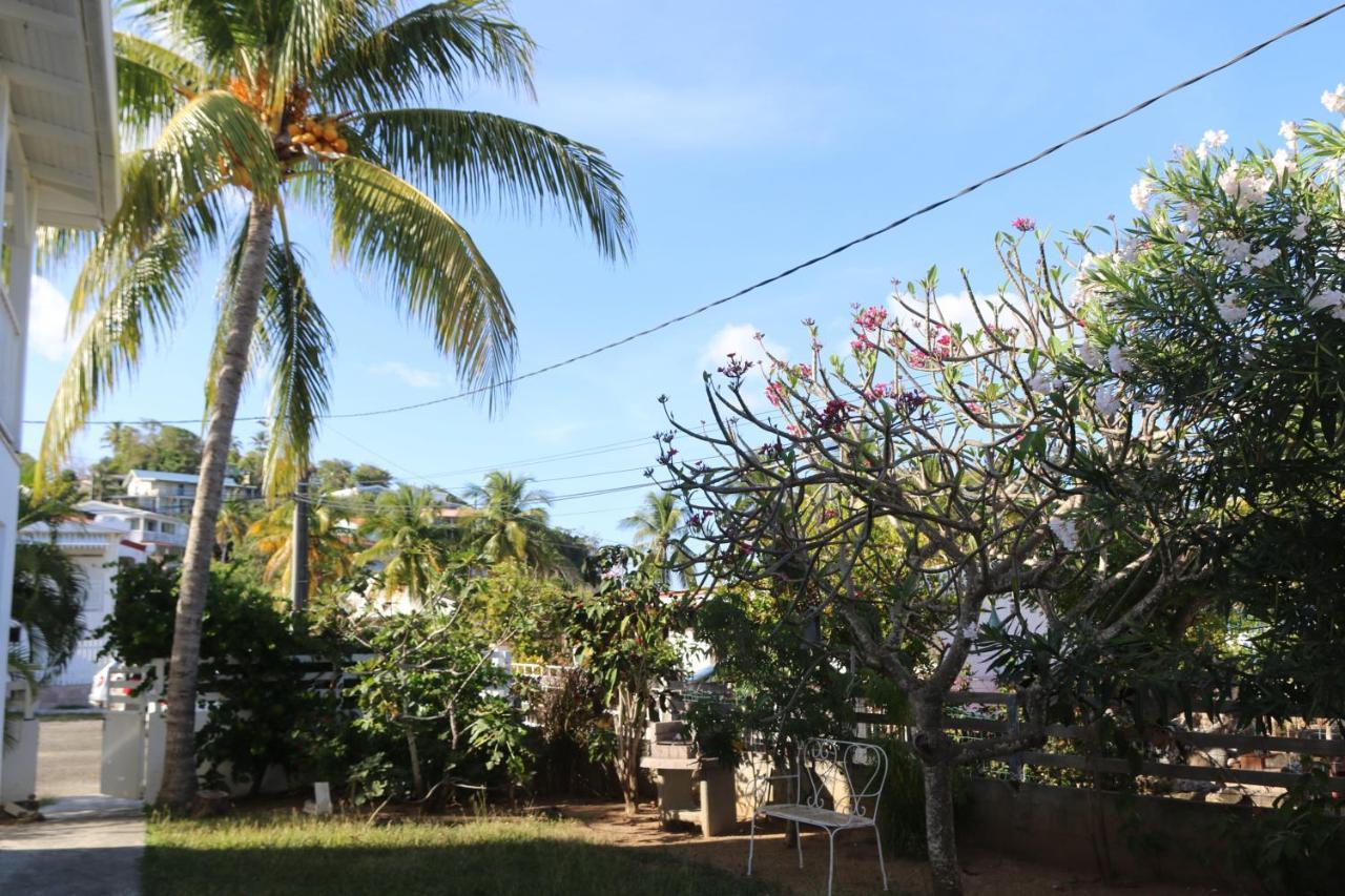 Apartamento Le Colibri Et Le Frangipanier Trinite  Exterior foto