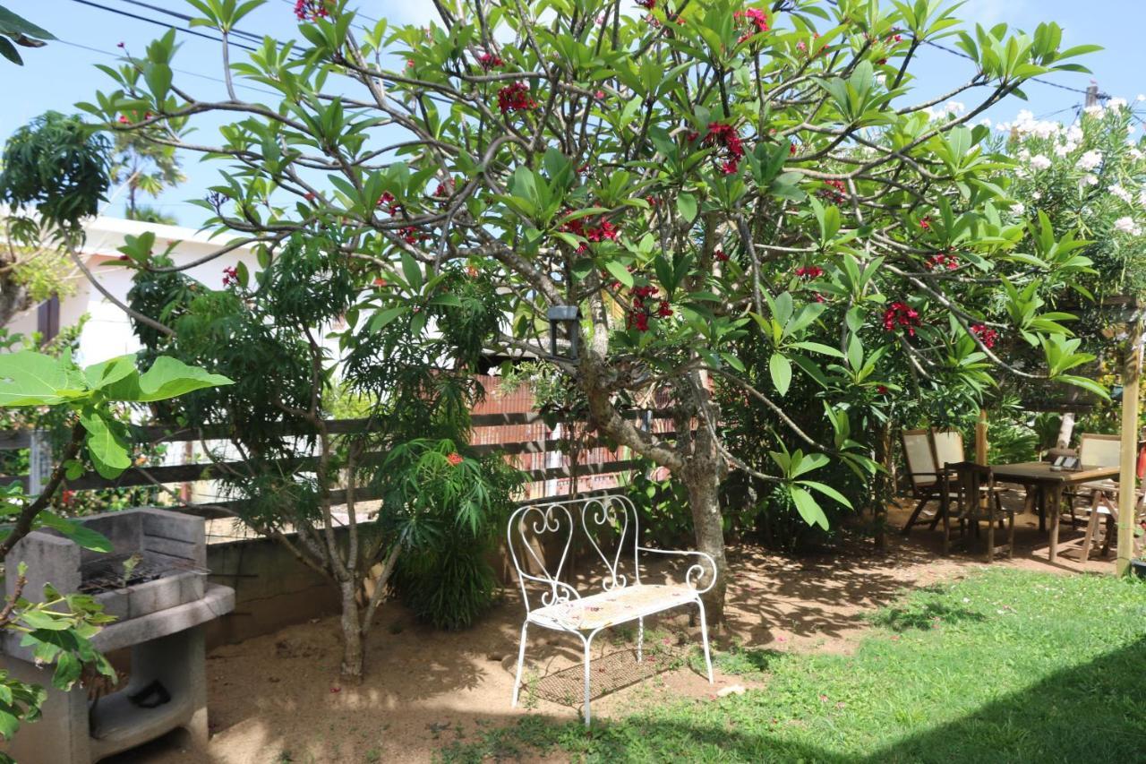 Apartamento Le Colibri Et Le Frangipanier Trinite  Exterior foto