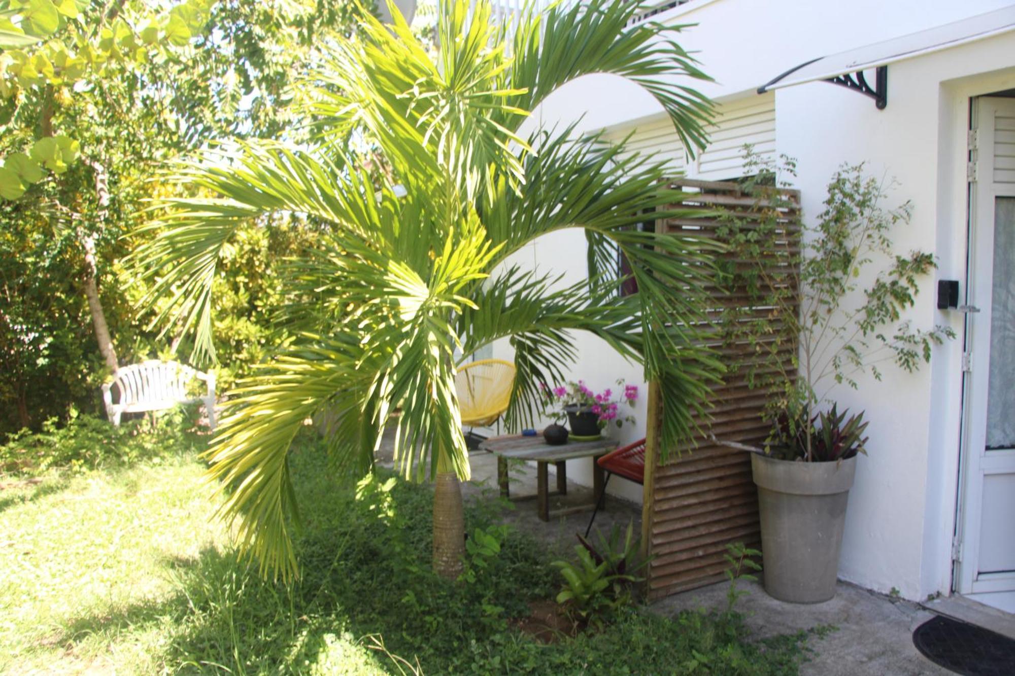 Apartamento Le Colibri Et Le Frangipanier Trinite  Exterior foto